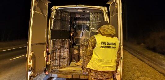 Straż Graniczna zatrzymała nielegalnych imigrantów w okolicach Gubina.